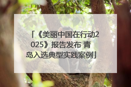 《美丽中国在行动2025》报告发布 青岛入选典型实践案例