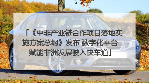 《中非产业链合作项目落地实施方案总纲》发布 数字化平台赋能非洲发展驶入快车道