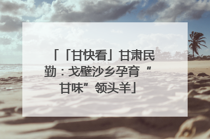「甘快看」甘肃民勤：戈壁沙乡孕育“甘味”领头羊