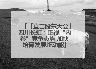 「直击股东大会」四川长虹：正视“内卷”竞争态势 加快培育发展新动能