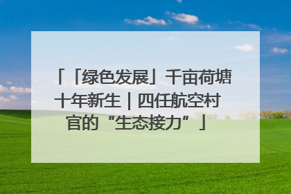 「绿色发展」千亩荷塘 十年新生｜四任航空村官的“生态接力”