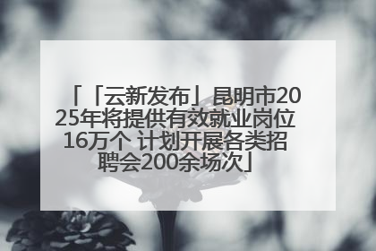 「云新发布」昆明市2025年将提供有效就业岗位16万个 计划开展各类招聘会200余场次