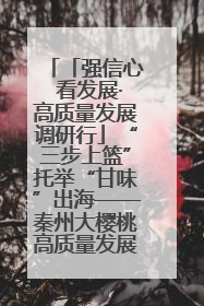 「强信心 看发展·高质量发展调研行」“三步上篮”托举“甘味”出海——秦州大樱桃高质量发展动作分解