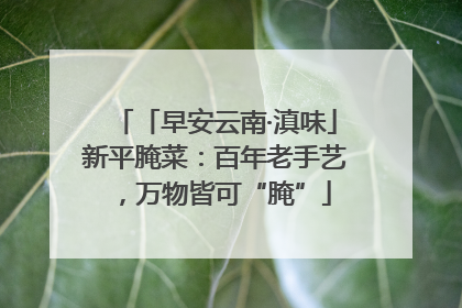 「早安云南·滇味」新平腌菜：百年老手艺，万物皆可“腌”