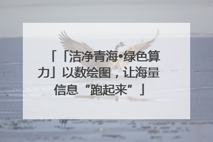 「洁净青海•绿色算力」以数绘图，让海量信息“跑起来”