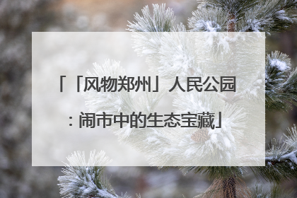 「风物郑州」人民公园：闹市中的生态宝藏