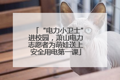 “电力小卫士”进校园，萧山电力志愿者为萌娃送上安全用电第一课