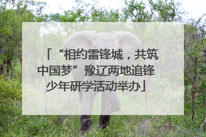 “相约雷锋城，共筑中国梦”豫辽两地追锋少年研学活动举办