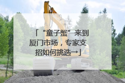“童子蟹”来到厦门市场，专家支招如何挑选→