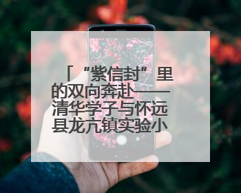 “紫信封”里的双向奔赴——清华学子与怀远县龙亢镇实验小学学生暖心书信之约