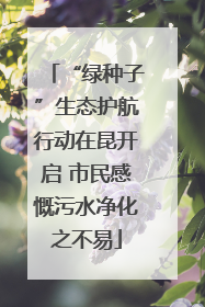 “绿种子”生态护航行动在昆开启 市民感慨污水净化之不易