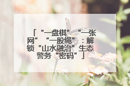 “一盘棋”“一张网”“一股绳”：解锁“山水融治”生态警务“密码”