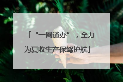 “一网通办”，全力为夏收生产保驾护航