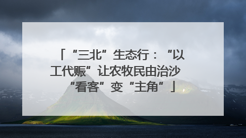 “三北”生态行：“以工代赈”让农牧民由治沙“看客”变“主角”