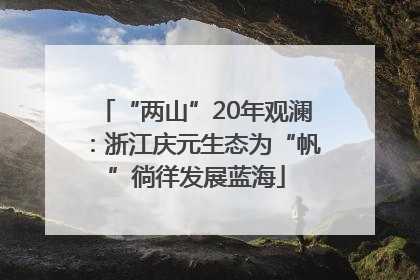 “两山”20年观澜：浙江庆元生态为“帆”徜徉发展蓝海