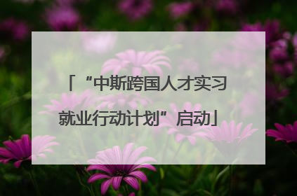“中斯跨国人才实习就业行动计划”启动
