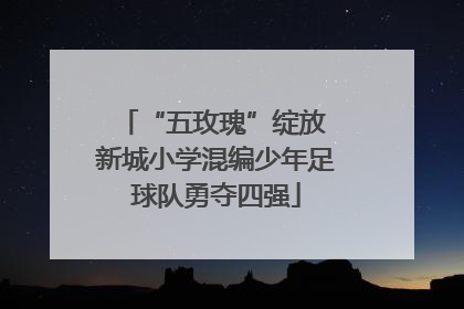“五玫瑰”绽放 新城小学混编少年足球队勇夺四强
