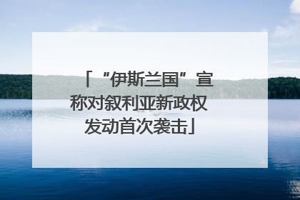 “伊斯兰国”宣称对叙利亚新政权发动首次袭击