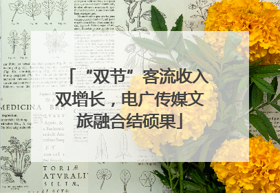 “双节”客流收入双增长，电广传媒文旅融合结硕果
