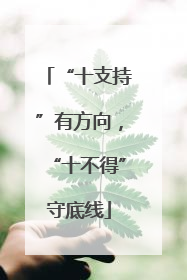 “十支持”有方向，“十不得”守底线