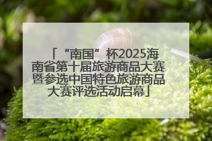“南国”杯2025海南省第十届旅游商品大赛暨参选中国特色旅游商品大赛评选活动启幕