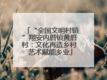 “全国文明村镇”翔安内厝镇黄厝村：文化再造乡村 艺术赋能乡业