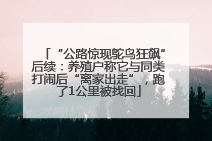 “公路惊现鸵鸟狂飙”后续：养殖户称它与同类打闹后“离家出走”，跑了1公里被找回