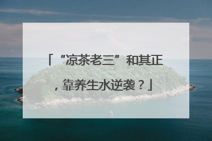 “凉茶老三”和其正，靠养生水逆袭？