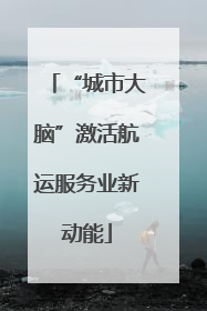 “城市大脑”激活航运服务业新动能