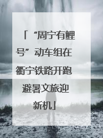 “周宁有鲤号”动车组在衢宁铁路开跑 避暑文旅迎新机