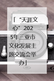 “天涯文心”2025年三亚市文化发展主题交流会举办