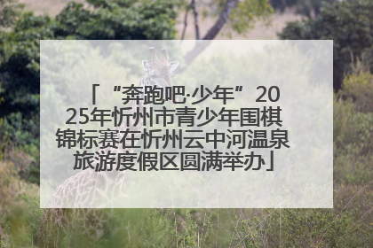 “奔跑吧·少年”2025年忻州市青少年围棋锦标赛在忻州云中河温泉旅游度假区圆满举办