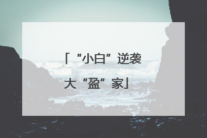 “小白”逆袭大“盈”家