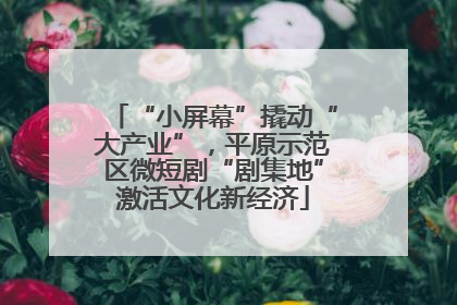 “小屏幕”撬动“大产业”，平原示范区微短剧“剧集地”激活文化新经济