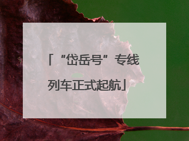 “岱岳号”专线列车正式起航
