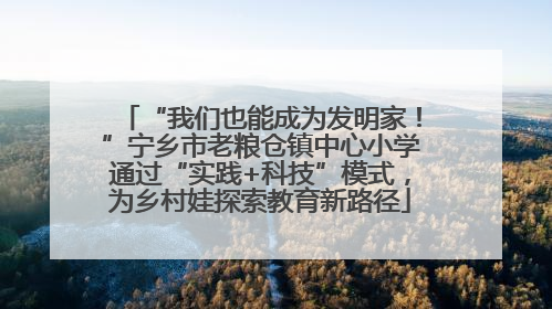 “我们也能成为发明家！”宁乡市老粮仓镇中心小学通过“实践+科技”模式，为乡村娃探索教育新路径