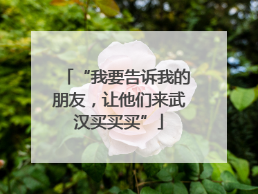 “我要告诉我的朋友，让他们来武汉买买买”