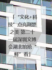 “文化+科技”点亮荆楚之美 第二十一届深圳文博会湖北馆抢“鲜”看