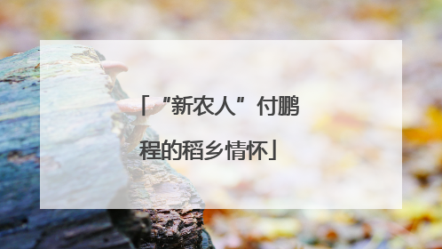 “新农人”付鹏程的稻乡情怀