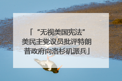 “无视美国宪法” 美民主党议员批评特朗普政府向洛杉矶派兵