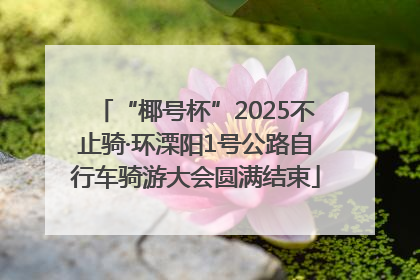 “椰号杯”2025不止骑·环溧阳1号公路自行车骑游大会圆满结束
