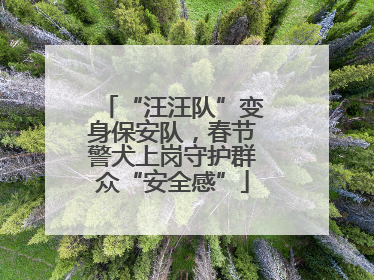 “汪汪队”变身保安队，春节警犬上岗守护群众“安全感”