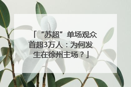 “苏超”单场观众首超3万人：为何发生在徐州主场？