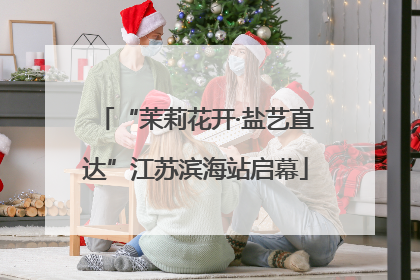 “茉莉花开·盐艺直达”江苏滨海站启幕