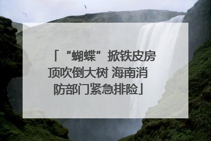 “蝴蝶”掀铁皮房顶吹倒大树 海南消防部门紧急排险