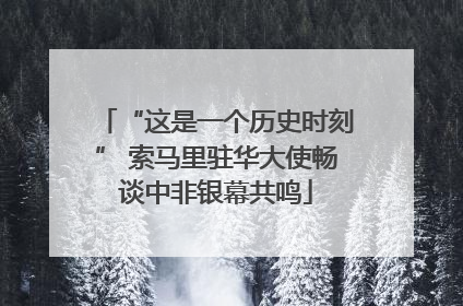 “这是一个历史时刻” 索马里驻华大使畅谈中非银幕共鸣