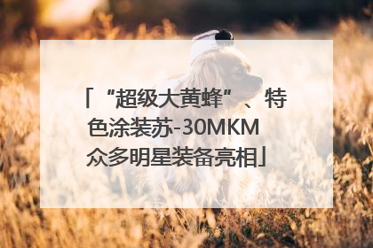 “超级大黄蜂”、特色涂装苏-30MKM 众多明星装备亮相