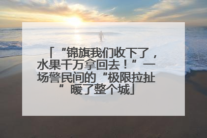 “锦旗我们收下了，水果千万拿回去！”一场警民间的“极限拉扯”暖了整个城