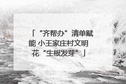 “齐帮办”清单赋能 小王家庄村文明花“生根发芽”