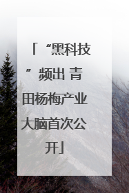 “黑科技”频出 青田杨梅产业大脑首次公开